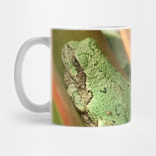 Succulent Tree Frog Mug